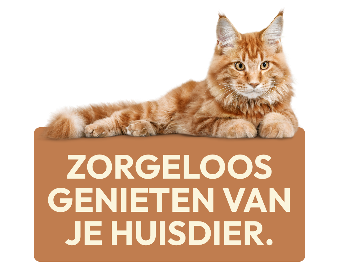 Zorgeloos genieten van je huisdier